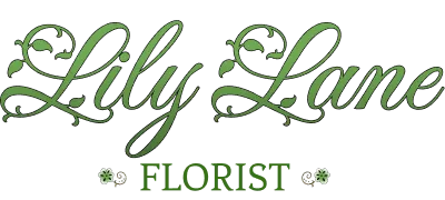 logo banner